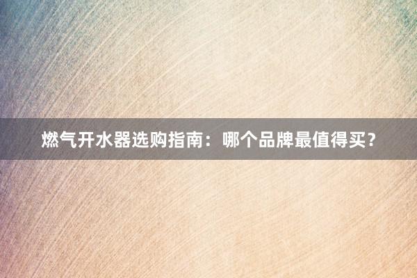 燃气开水器选购指南：哪个品牌最值得买？