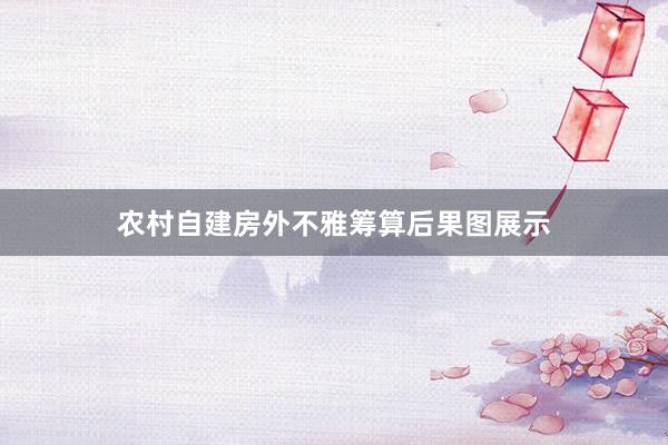 农村自建房外不雅筹算后果图展示